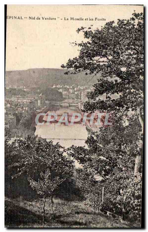 Epinal - Nid de Verdure la Moselle et les Forets - CPA 