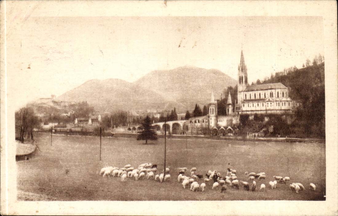 Lourdes - La Basilique et le Pic du Jer - mouton- CPA 