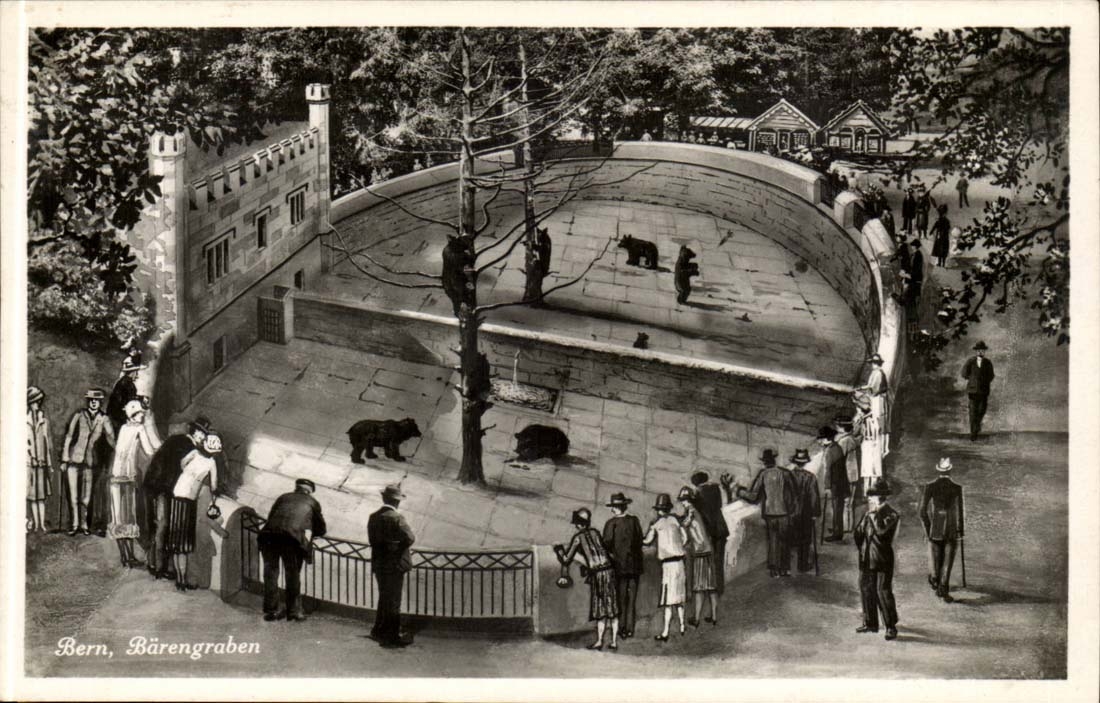 Berne - Bern - Suisse - Schweiz - Baerengraben -CPA 