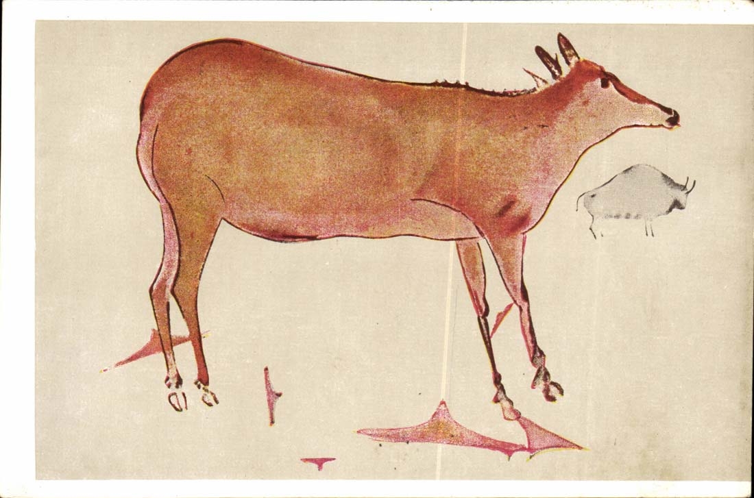 Cueva de Altamira — Prehistoric Painting of Cierva — Blass, S. A. Madrid
