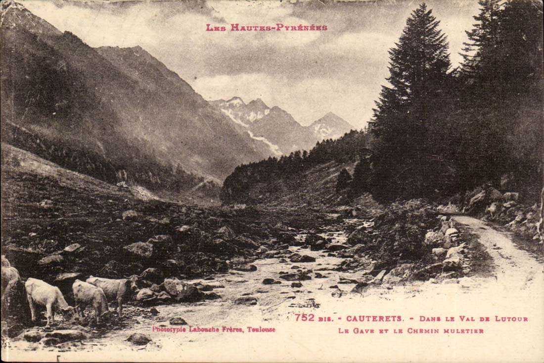 Cauterets — Le Gave et le Chemin Muletier — dans le Val de Lutour — Phototypie Labouche Frères, Toulouse, n° 752 bis