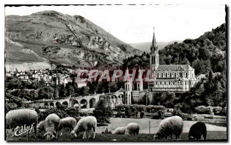 Lourdes CPA La basilique et le pic du Jour (moutons)
