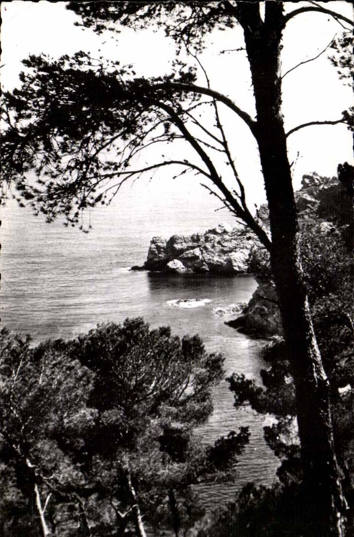 Ile de Porquerolles CPA Bords de mer Vers la grande Cale