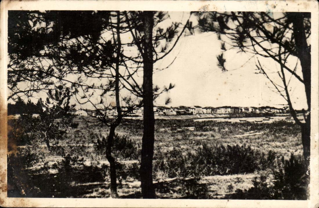 Rivedoux Viewed from the Pine Forest — Île de Ré (Ch. Inf.) — Publisher Nozaïs, 18, Avenue du Céceau - Nantes