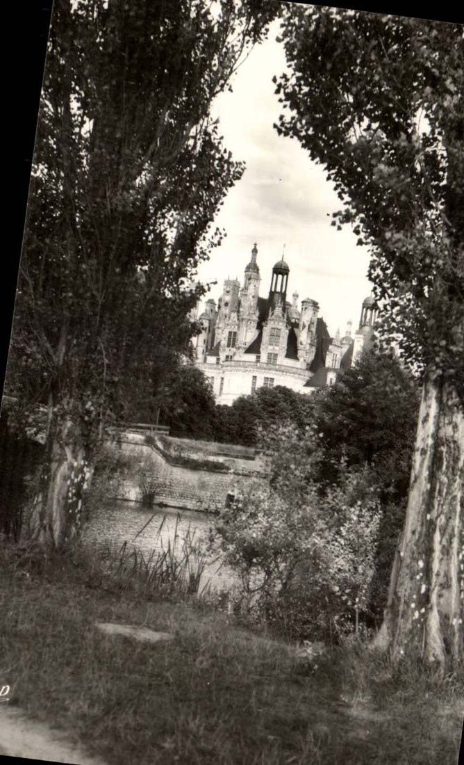 Chambord - Les Bords du Cosson et le Chateau - CPA 