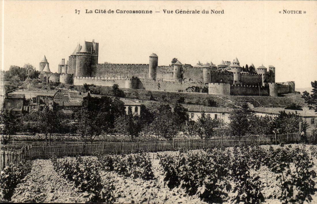Cite de CArcassonne CPA Vue generale du nord