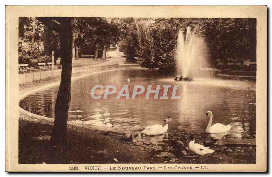 Vichy CPA Le nouveau parc Les cygnes (swan)