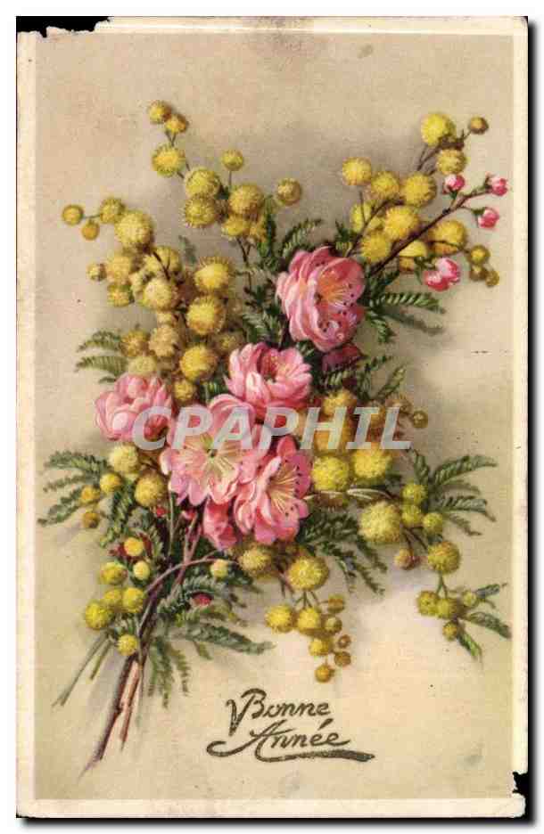 CPA FAntaisie Bonne annee Fleurs