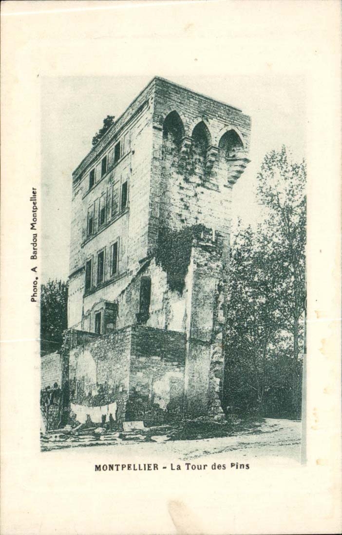Montpellier - La Tour des Pins - CPA 