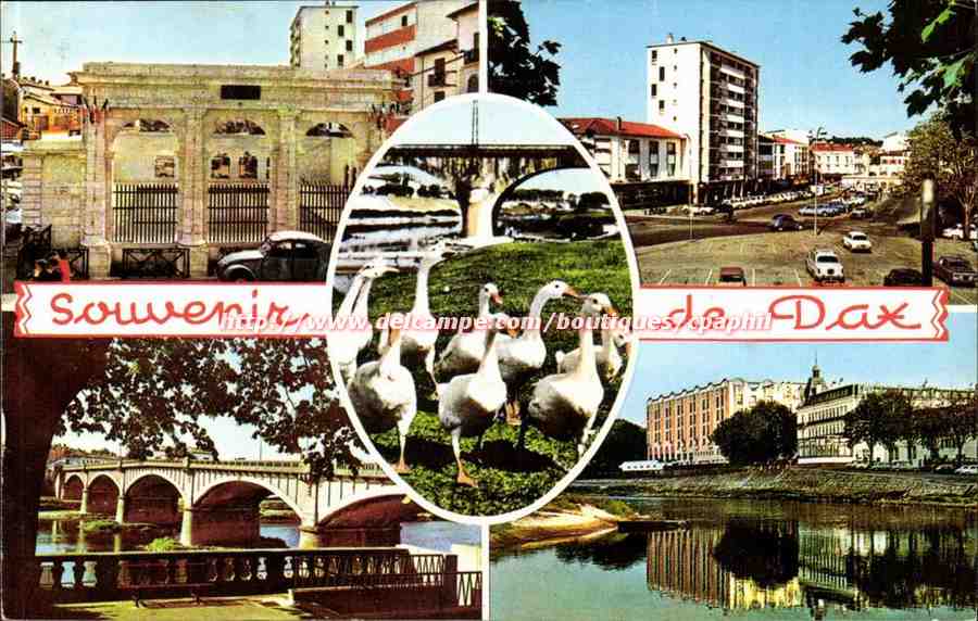 Dax — Souvenir de Dax — Élécoleur
