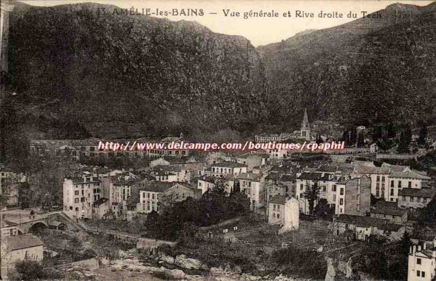 Amelie les Bains - Vue Generale et Rive droite du Tech - CPA 