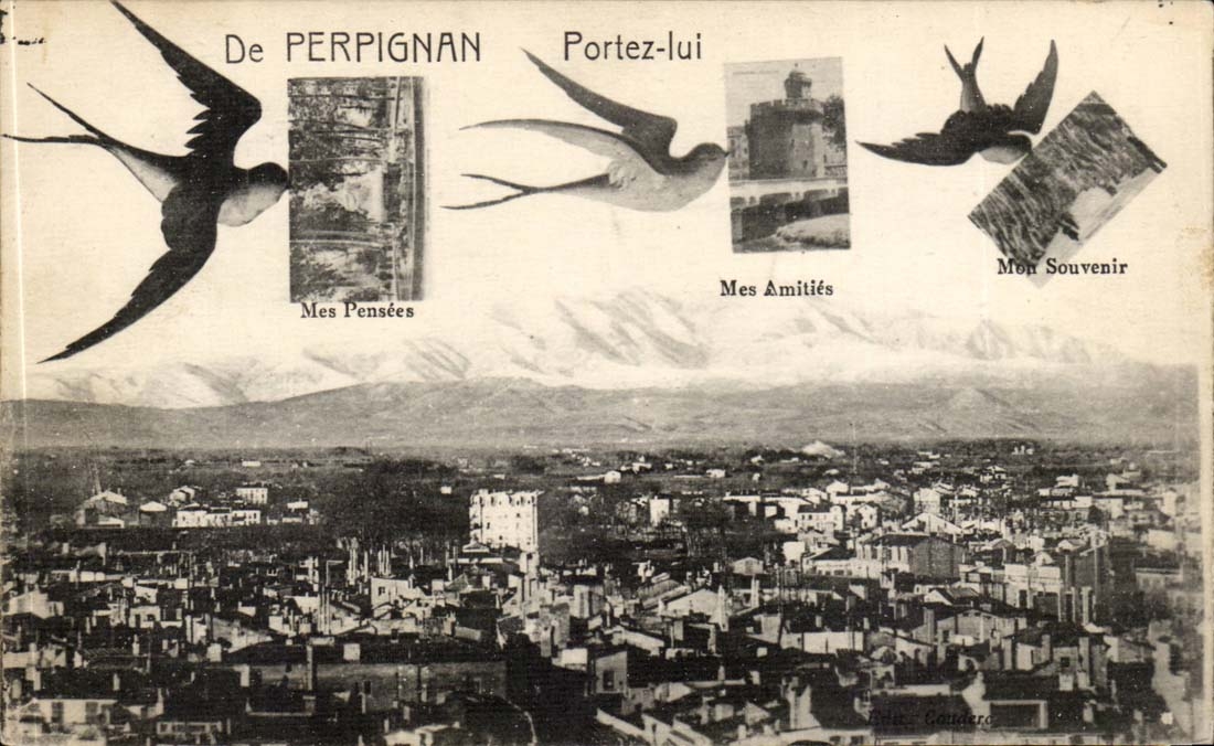 Perpignan - Portez lui - Souvenir - CPA 