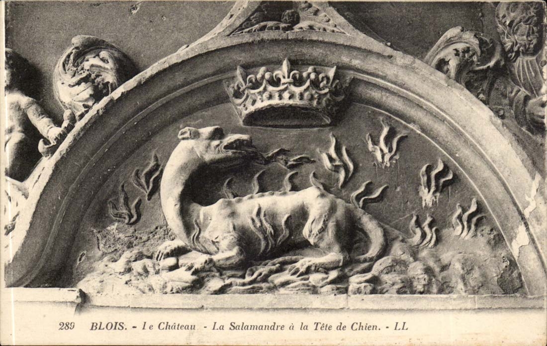 Blois - Le Chateau - La salamandre a la Tete de Chien - CPA 