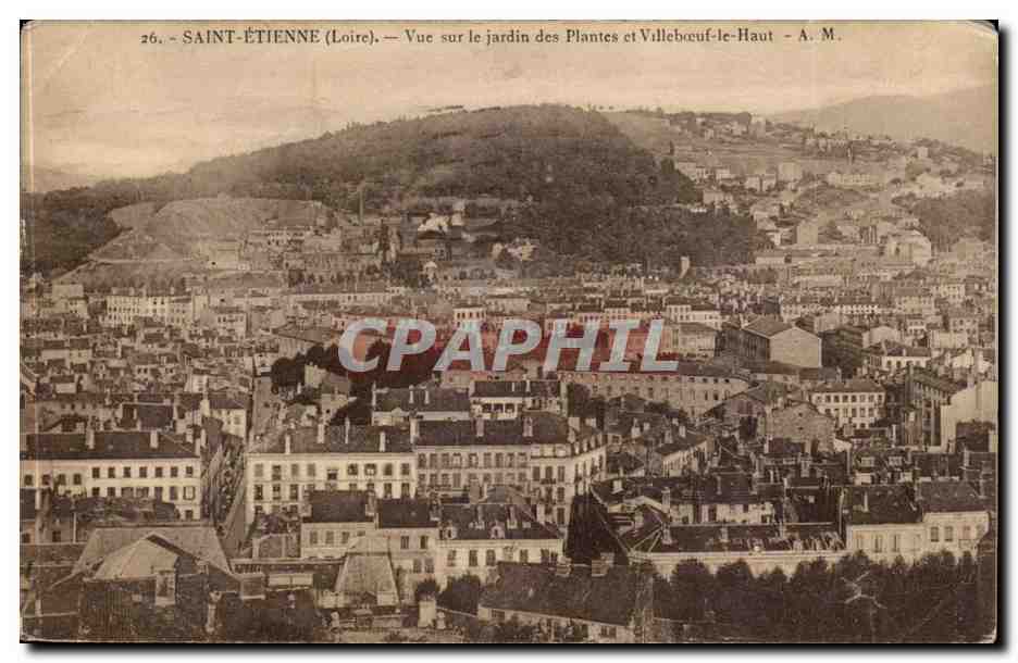 Saint Etienne CPA Vue sur le jardin des Plantes et Vileboeuf le Haut