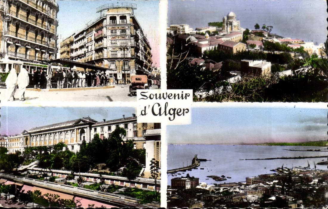 Afrique - Africa - Souvenir d ' Alger - Algerie - Algeria - CPA 