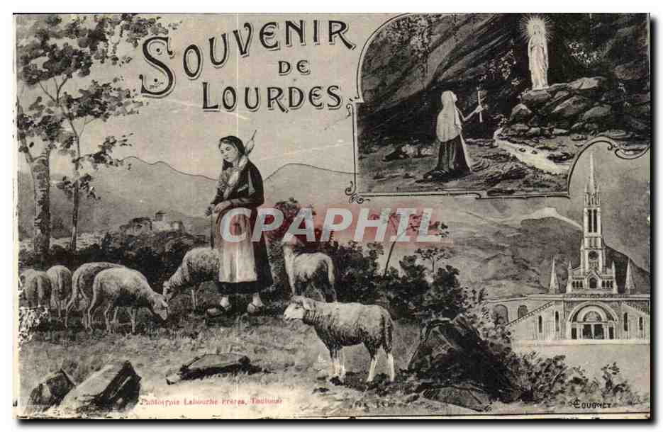 Lourdes - Souvenir de Lourdes - mouton - CPA 