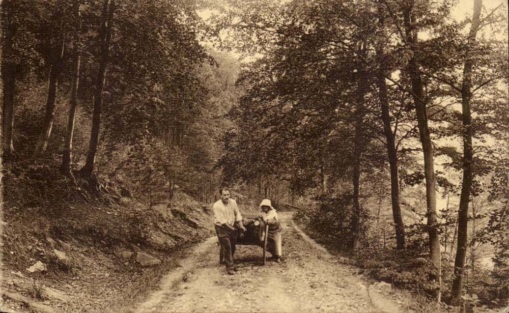 CPA Rochefort Paysage au bois de Falizes ( paysans dans la foret metiers )