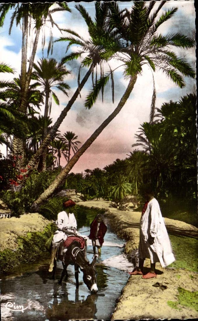 Afrique - Africa - Colection Artistique L'Afrique A la Seguia - CPA 