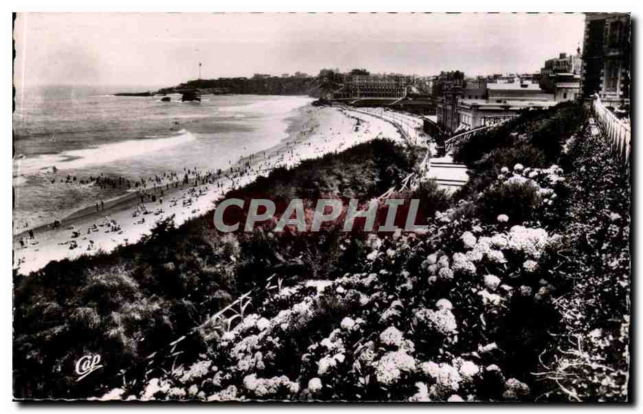 Biarritz — Les Hortensias et la Grande Plage — Réal-Photo