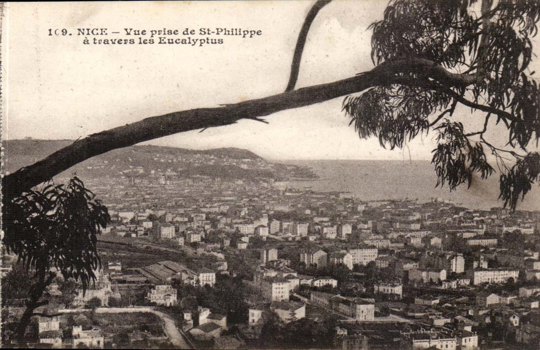 Nice CPA Vue prise de St Philippe a travers les Eucalyptus