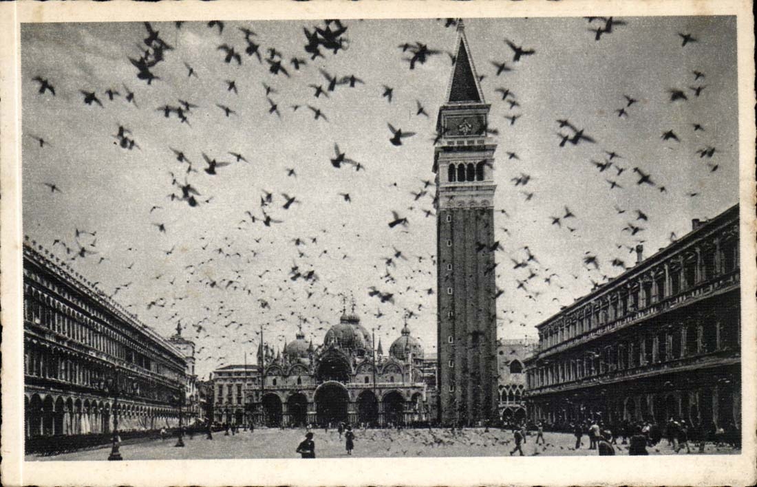 Italie Italie Venise Venezia CPA Basilica S MArco