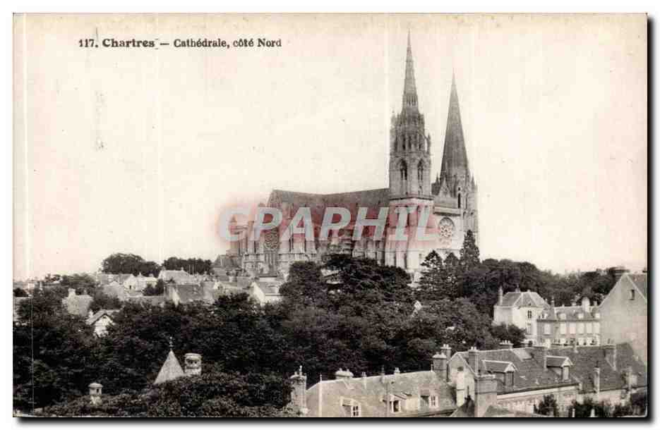 Chartres CPA La cathedrale Cote Nord