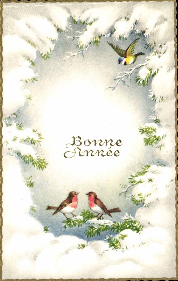 CPA Fantaisie Bonne annee