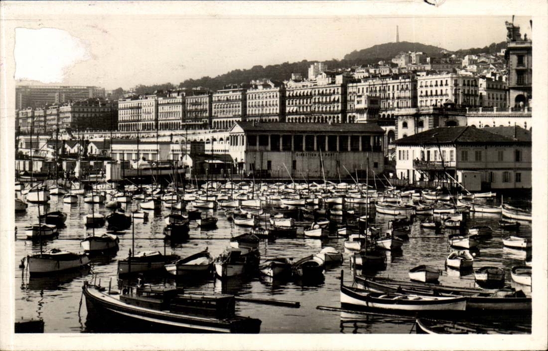 Alerie Alger CPM Boulevard de la Republique et boulevard Carnot