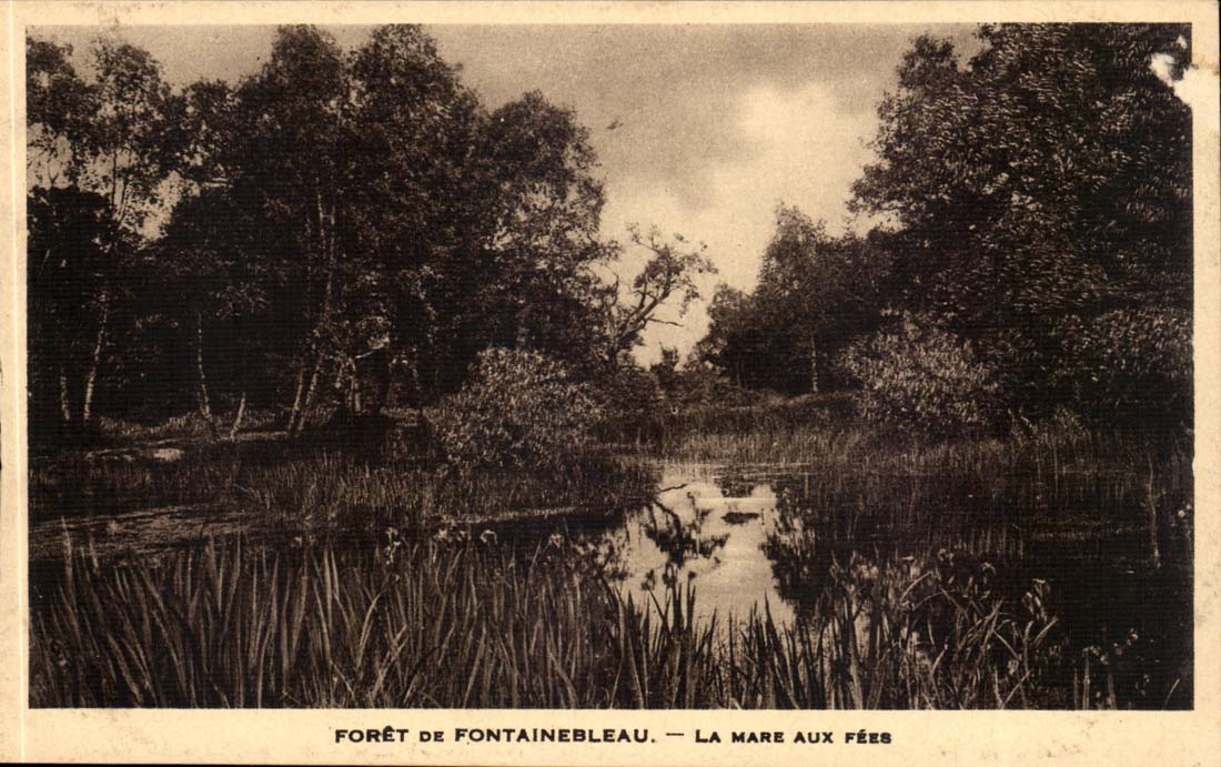 Forêt de Fontainebleau — La Mare aux Fées