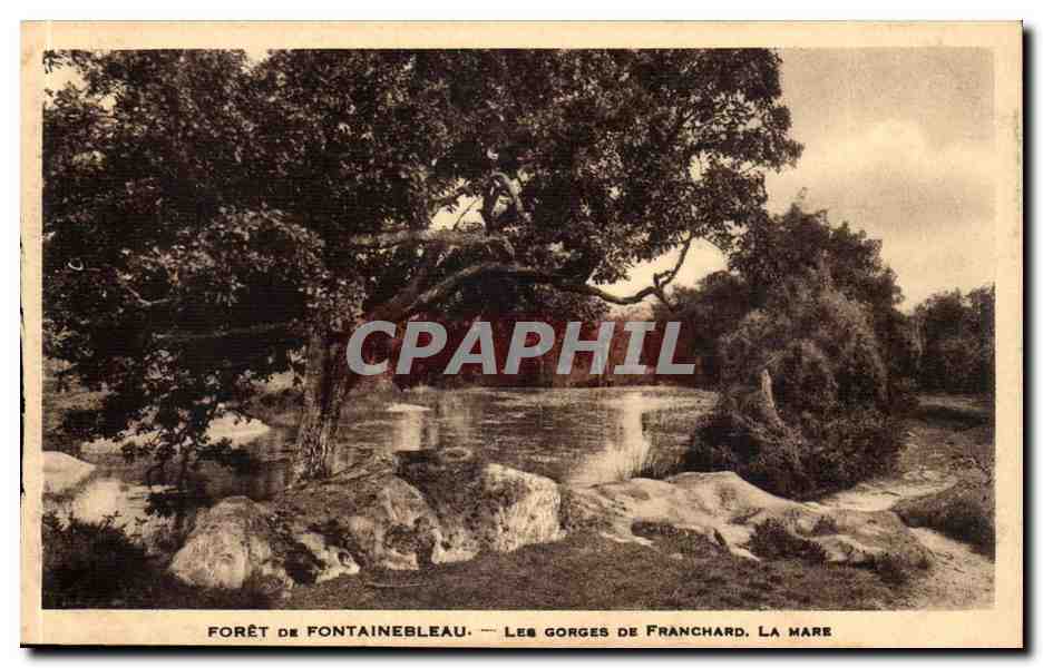 Bosque de Fontainebleau — Las gargantas de Franchard. La charca