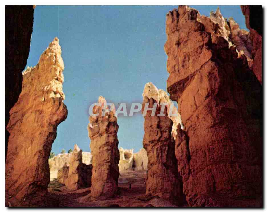 CPM Utah Colorado Najavo Trail Bryce CAnyon National park