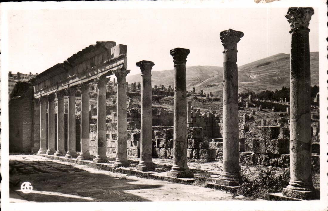 Maroc Djemila CPA Le portique Ouest du temple Septimien