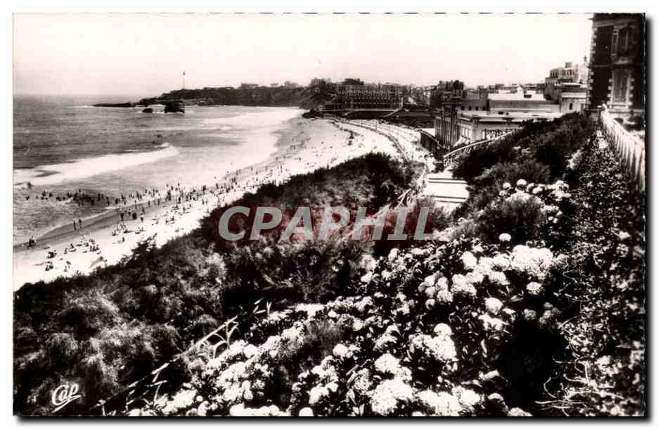 Biarritz — Les Hortensias et la Grande Plage — REAL-PHOTO C.A.P. PARIS