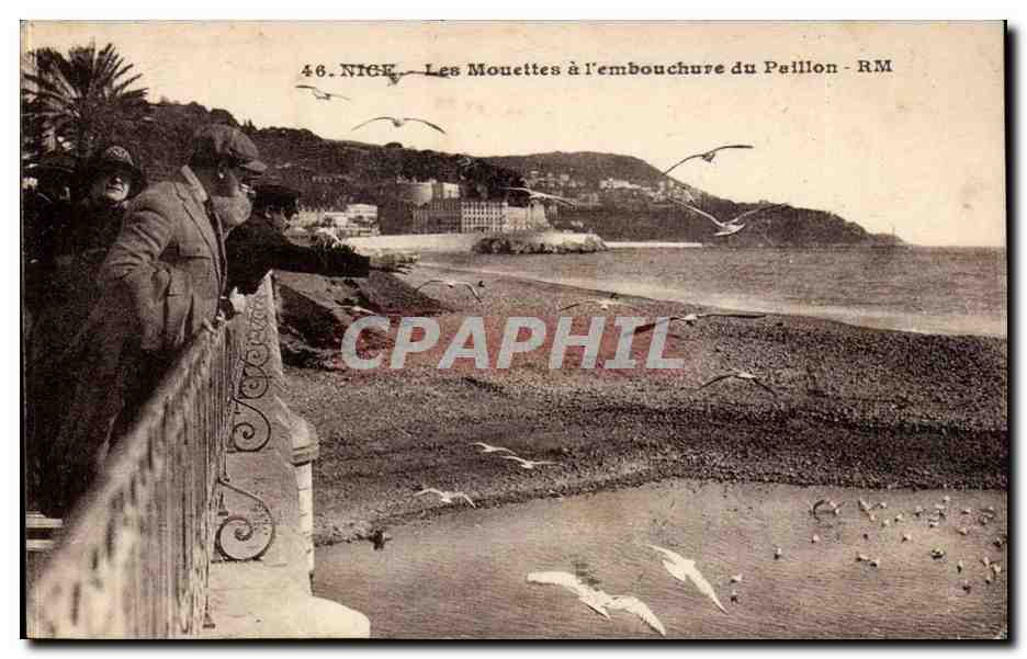 Nice CPA Les mouettes a l'embouchure du Paillon