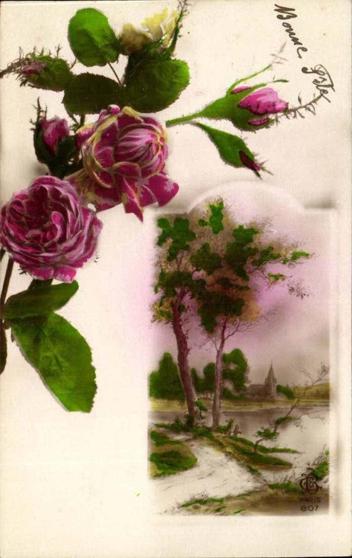 CPA FAntaisie Fleurs 