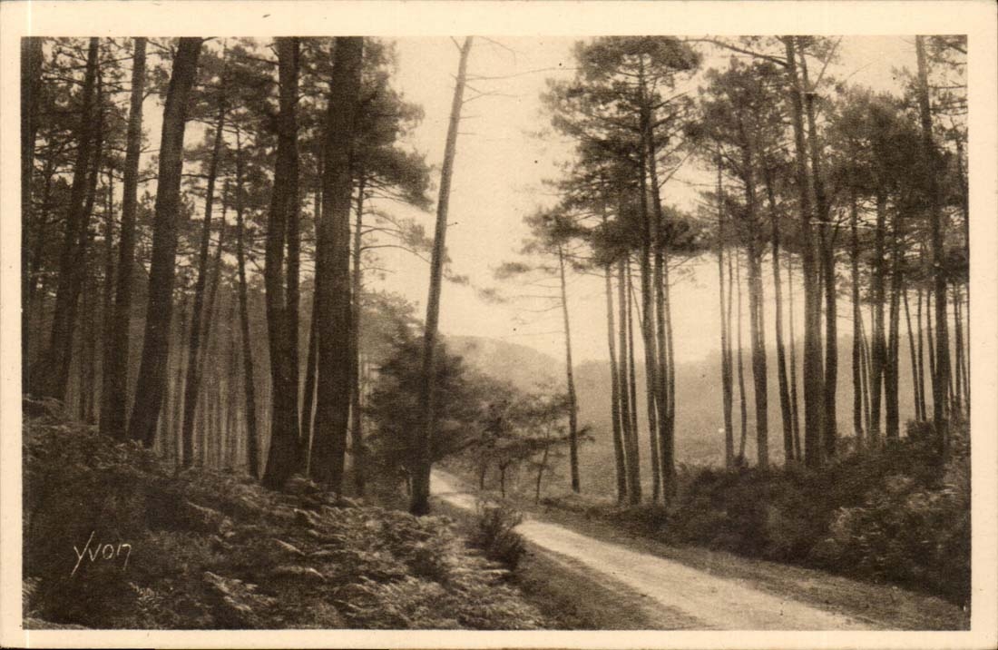 Les Landes de Gascogne — Route de Léon à Moliets — Éditions d'Art Yvon