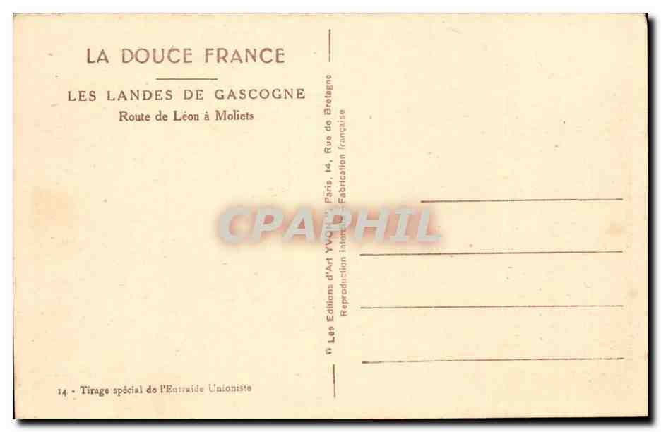 Les Landes de Gascogne — Route de Léon à Molliets — Yvon — Verso