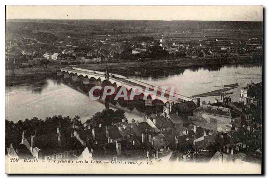 Blois CPA Vue generale vers la Loire 