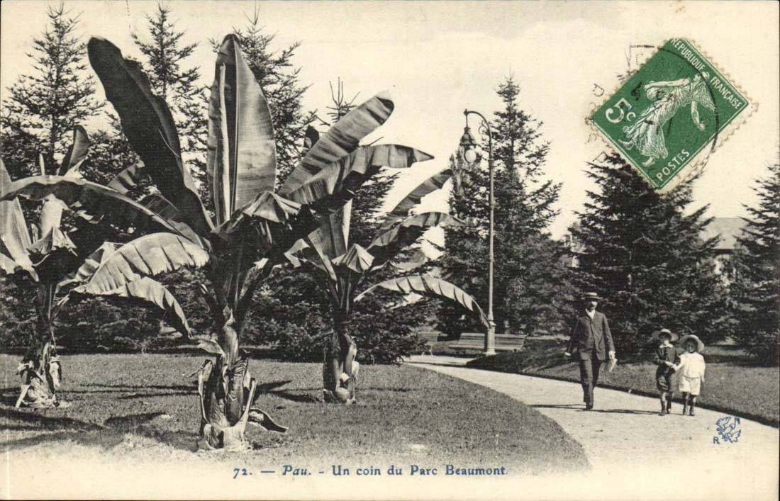Pau — Un coin du Parc Beaumont — éditeur non visible, n° 72