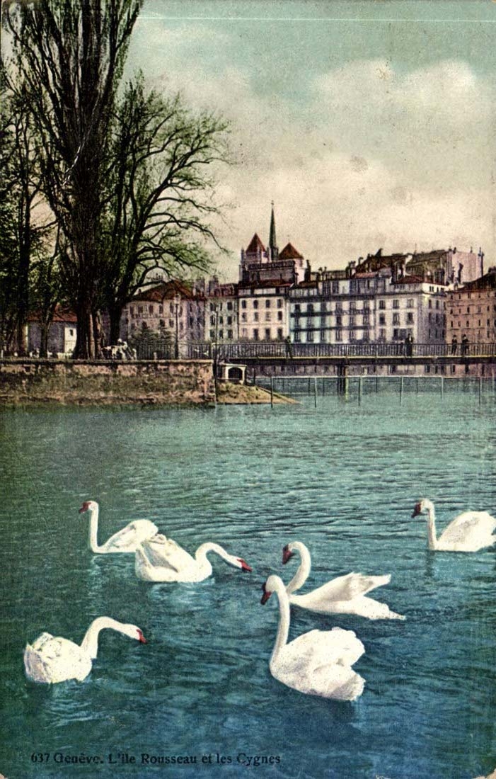Suisse Geneve CPA L'ile Rousseau et les cygnes