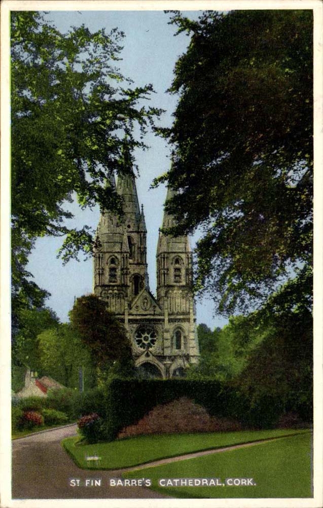 Irlande ireland St Fin Barre's cathedral Cork Corcaigh