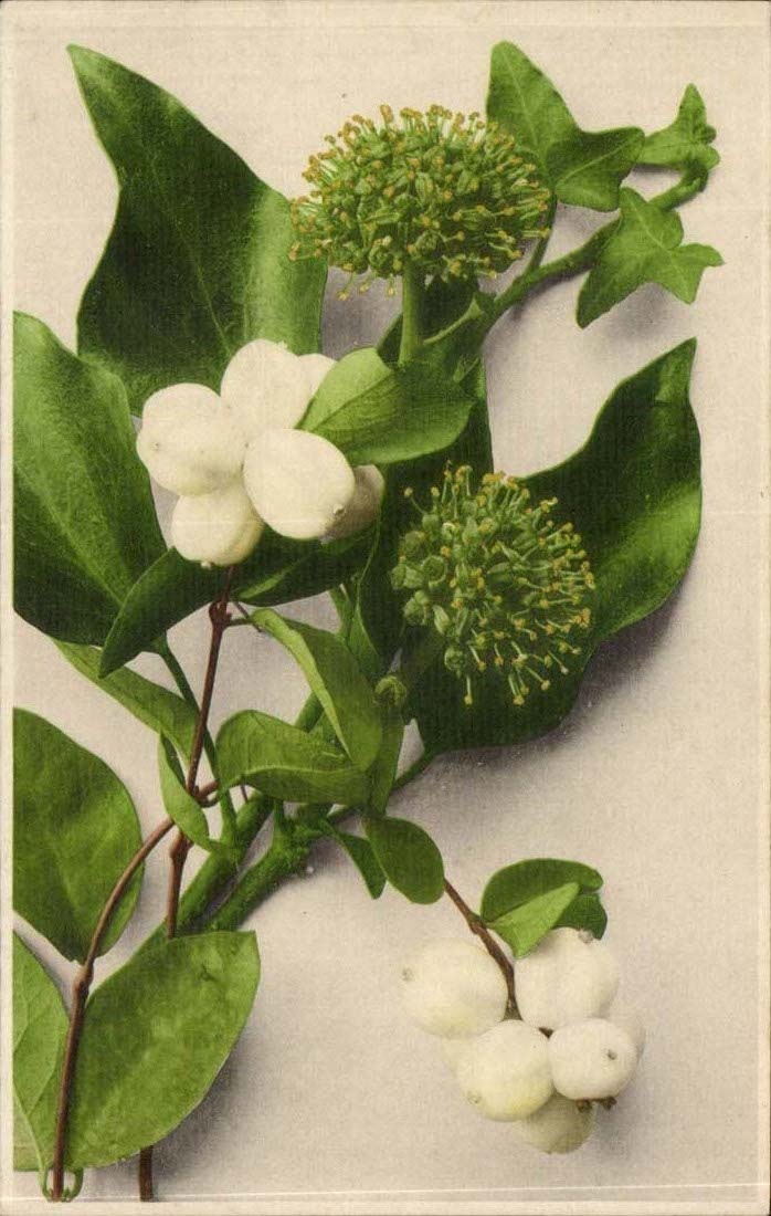 CPA FAntaisie Fleurs (muguet)