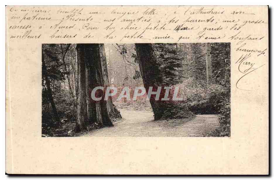 CPA FAntaisie Arbres