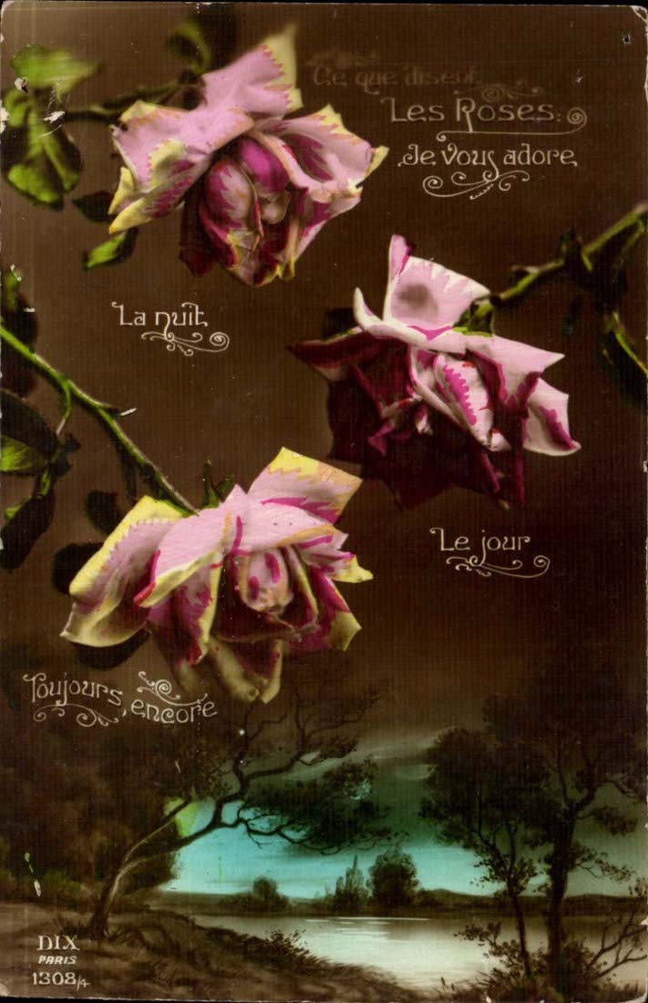 CPA FAntaisie Felurs Roses 