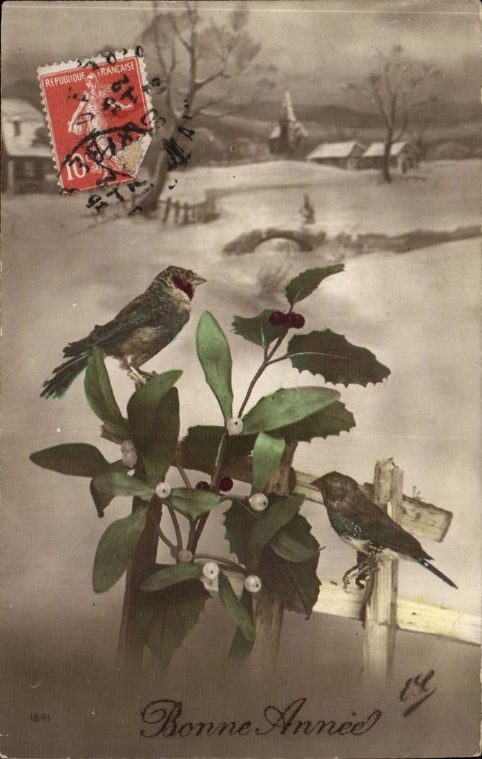 CPA Fantaisie Fleurs Bonne annee Oiseaux 