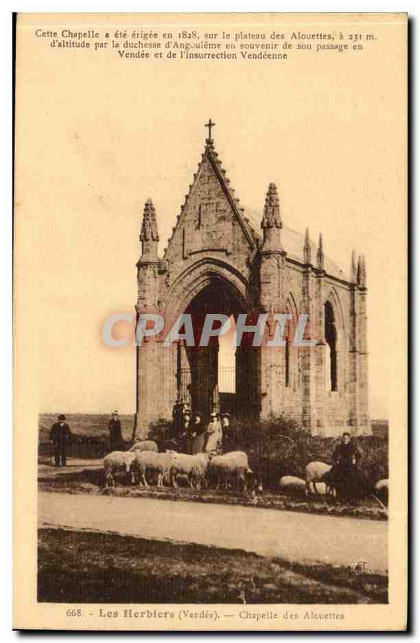 Les Herbiers CPA Chapelle des Alouettes (moutons)