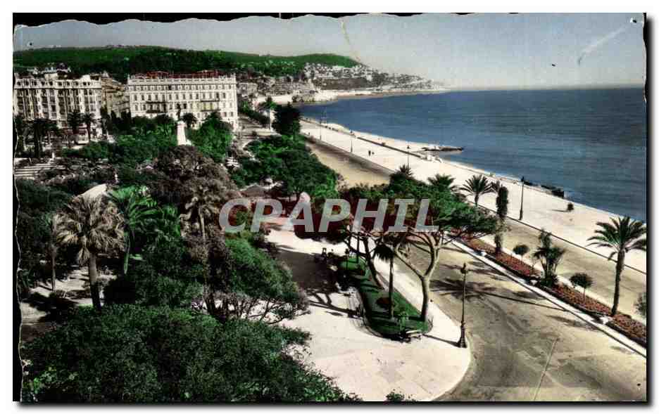 Nice CPA Vue sur les jardins Albert 1er
