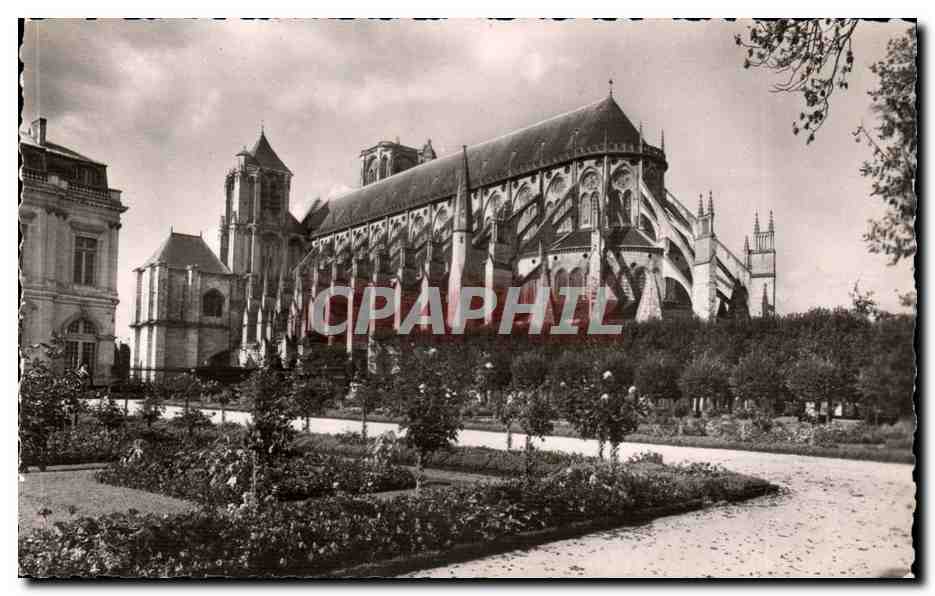 Bourges CPA La cathedrale Vue du jardin de l'archeveche