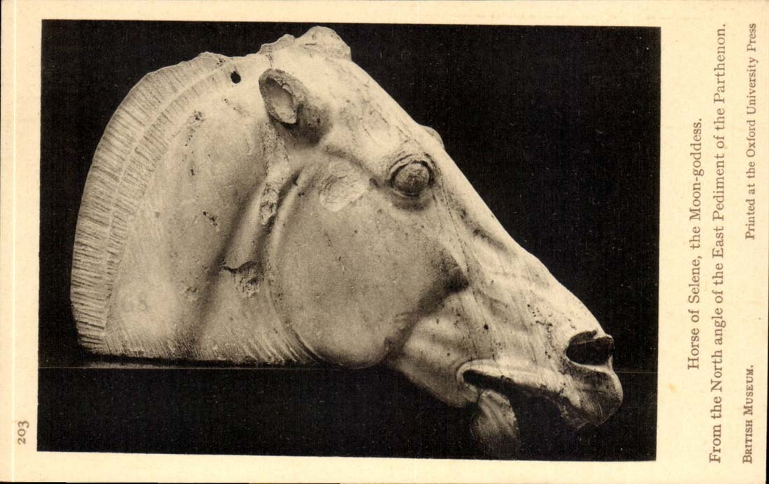 Tête de cheval de Séléné — Détail du péristyle oriental du Parthénon — British Museum — Éditeur : Oxford University Press, n° 203