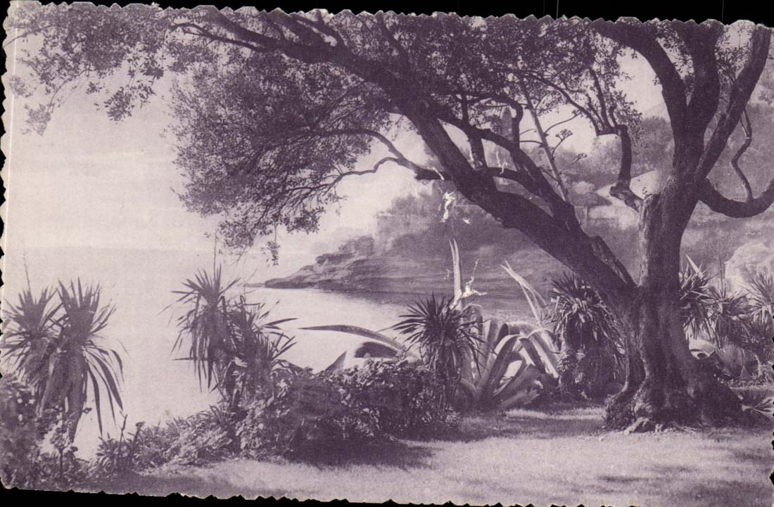 Roquebrune CPA Jardins de la ville Casa del Mare